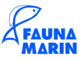 Fauna Marin